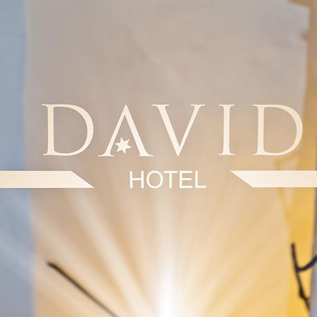 Hotel David An Der Donau Регенсбург Екстериор снимка